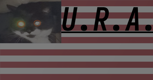 Official flag of the U.R.A.